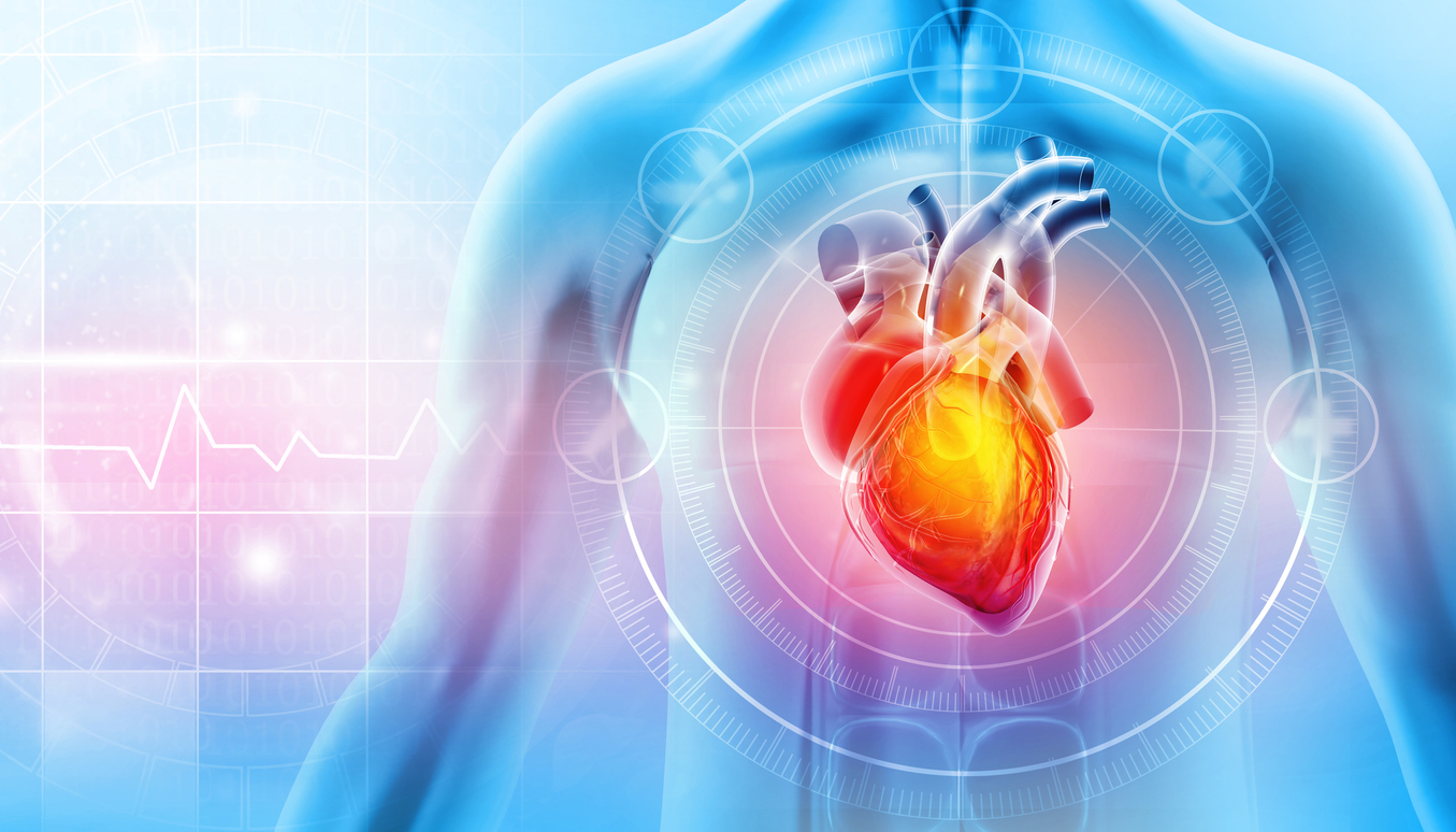 Featured image for Risk Factors for Coronary Heart Disease