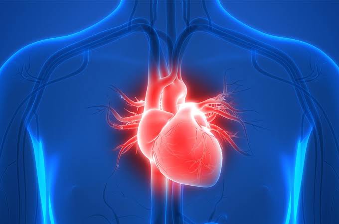 What Happens If Your Stress Test Results Are Abnormal? 